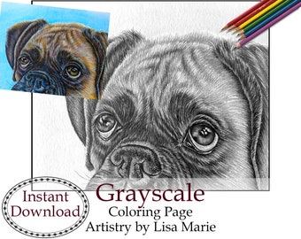 Pug dog coloring book page printable instant download adult coloring realistic grayscale art download now