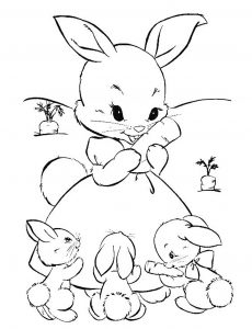 Rabbit