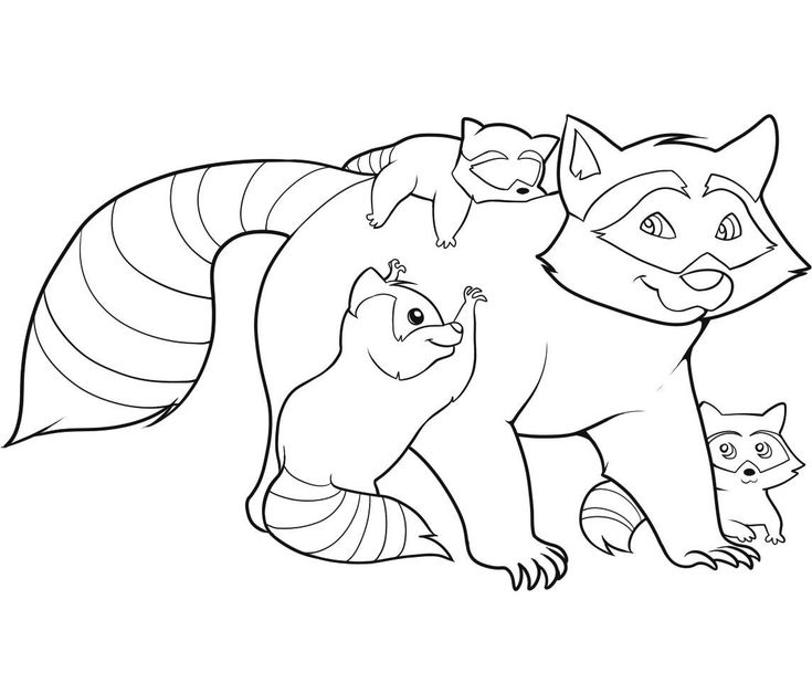 Free printable raccoon coloring pages for kids animal coloring pages coloring pages family coloring pages