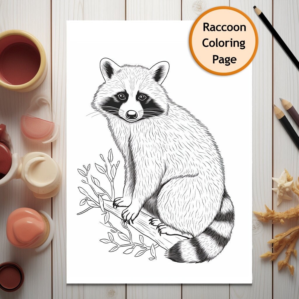 Raccoon coloring page