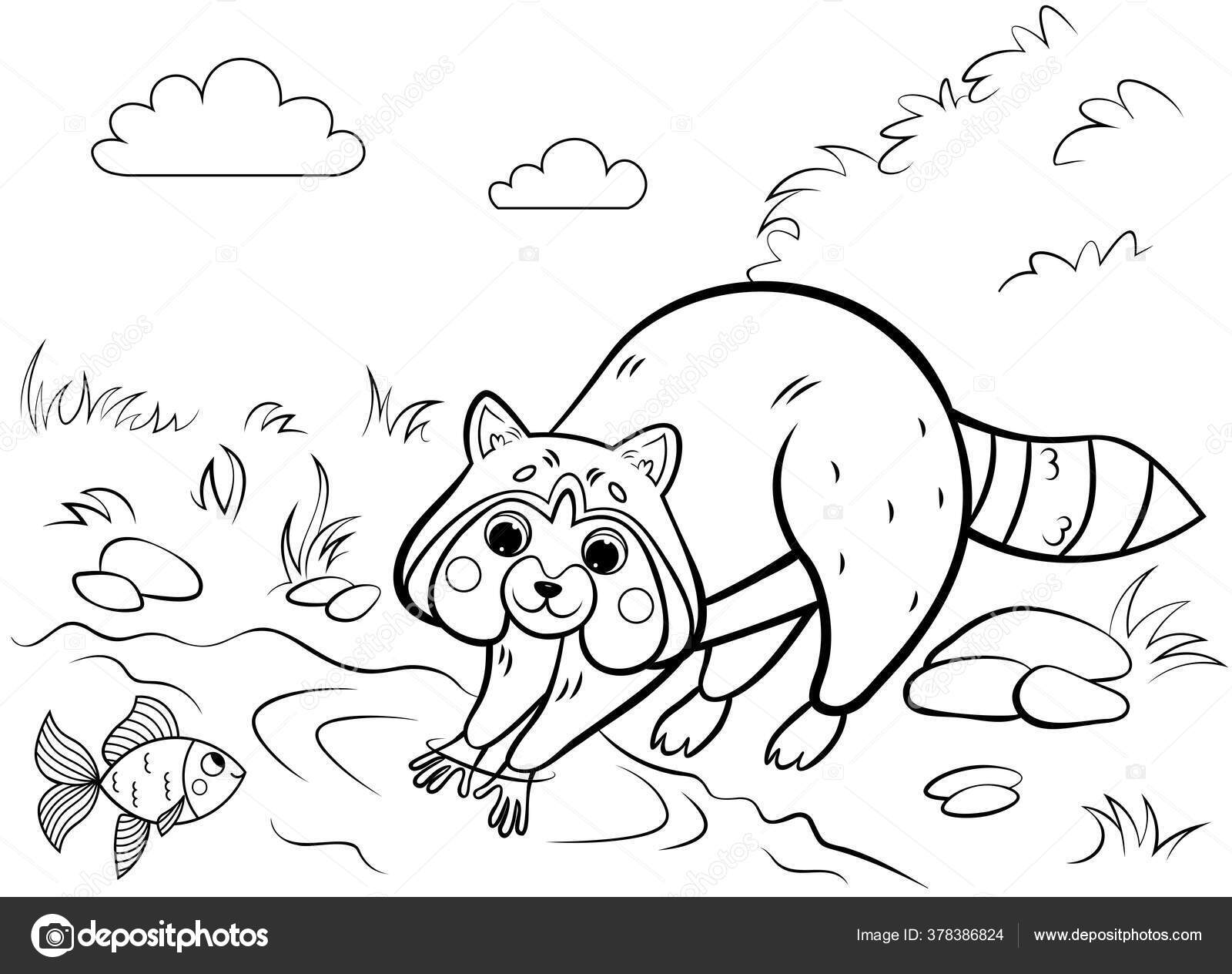 Coloring page outline cute cartoon raccoon rinsing fish vector image stock vector by elenaparshina