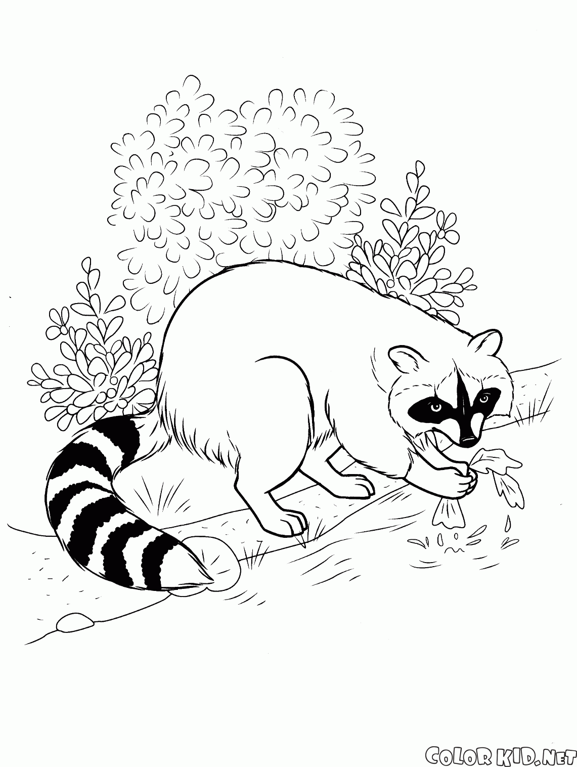 Coloring page