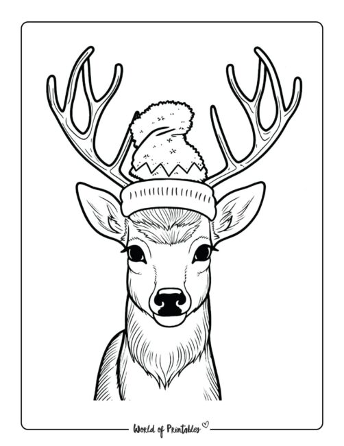 Reindeer coloring pages