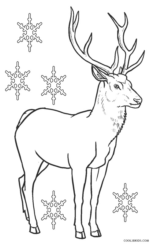 Free printable reindeer coloring pages for kids