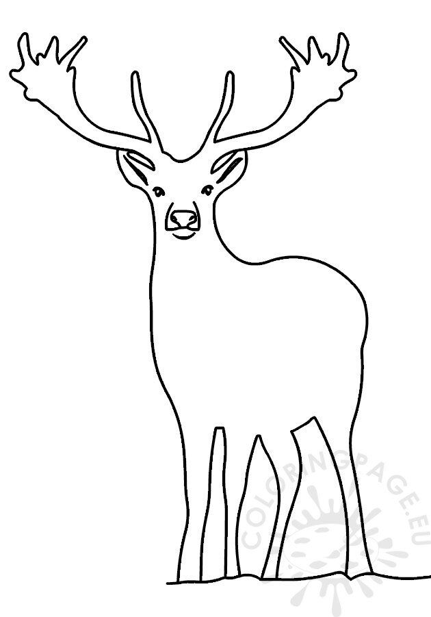 Realistic reindeer coloring page