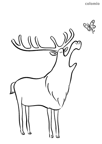 Reindeer coloring pages free printable reindeer coloring sheets