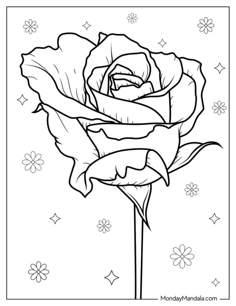Rose coloring pages free pdf printables