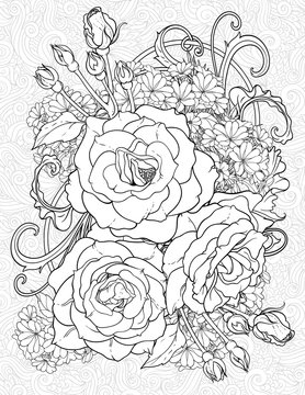 Rose color pages images â browse photos vectors and video