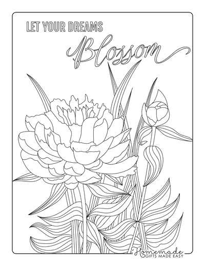 Adult coloring pages to print for free