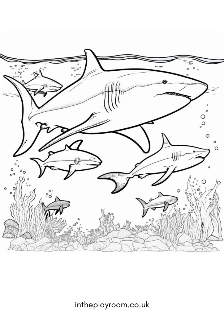 Free printable shark loring pages for kids