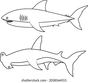 Shark coloring page images stock photos d objects vectors