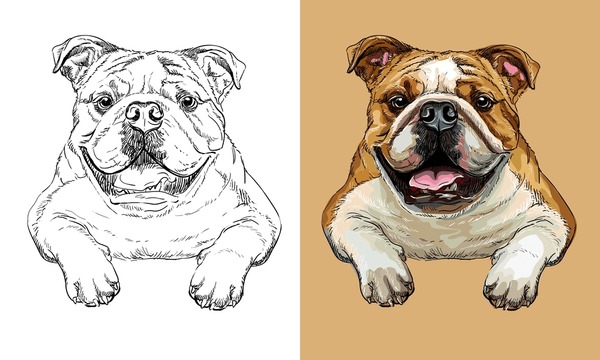 Dog drawn realistic royalty