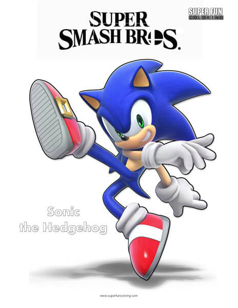 Sonic the hedgehog