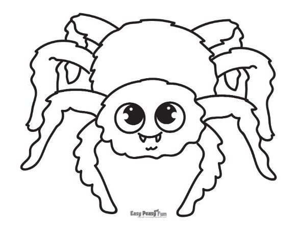 Printable spider coloring pages â sheets