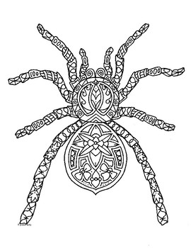 Spider color tpt