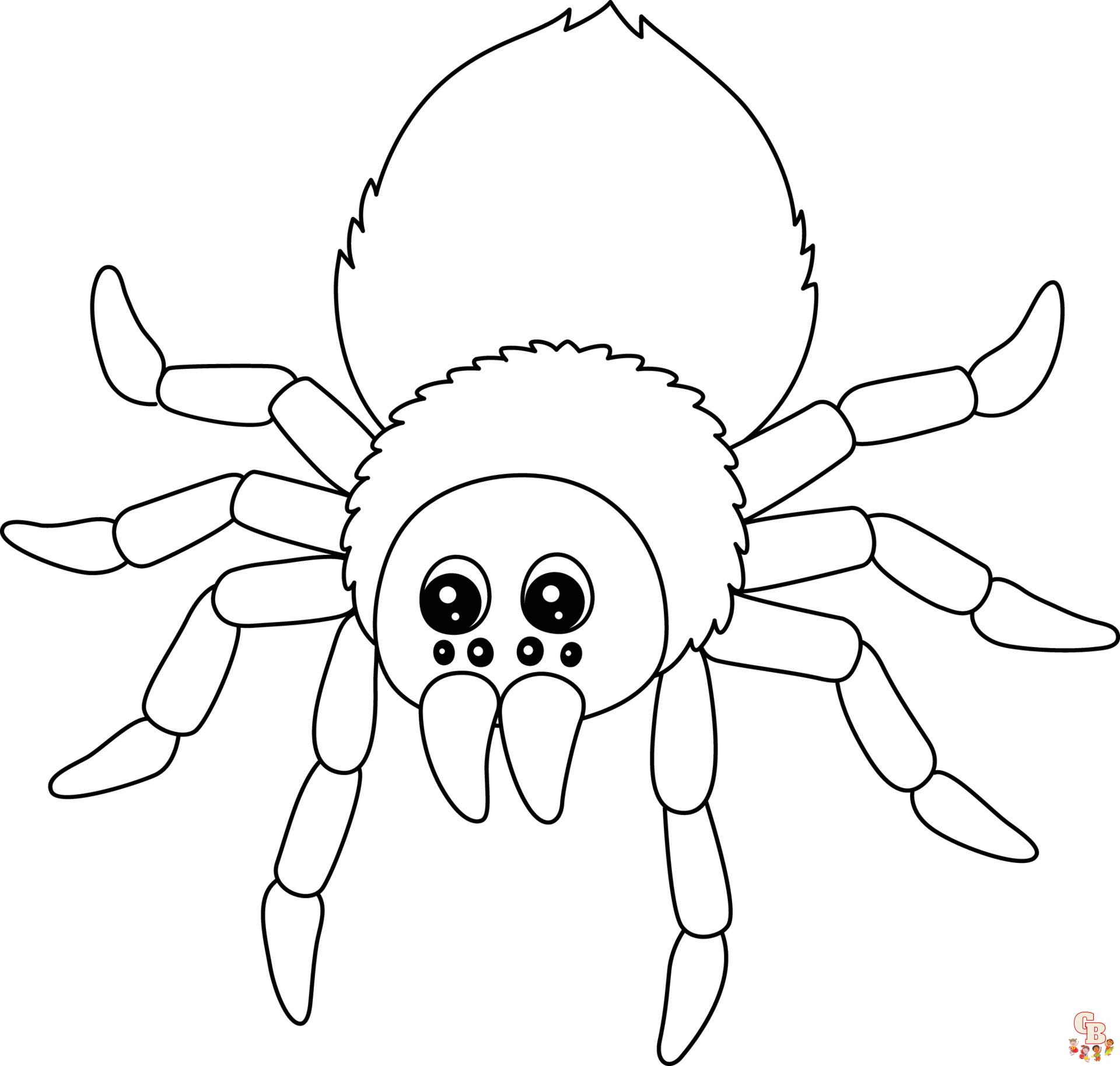 Free tarantula coloring pages to print and color