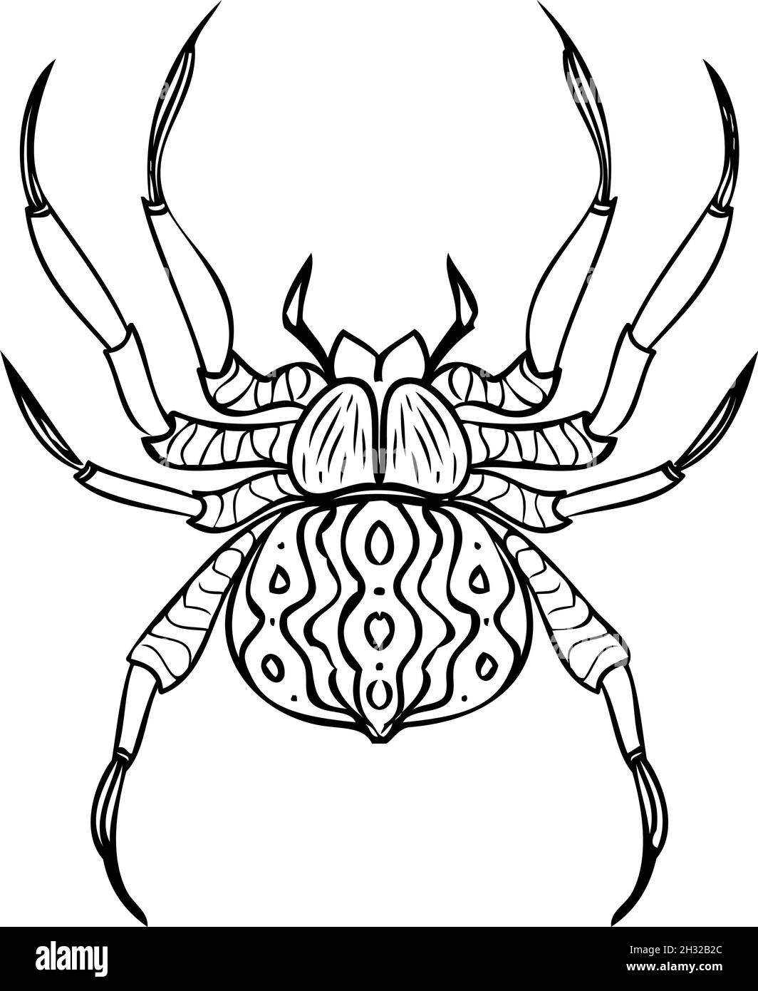 Spider drawing black and white stock photos images