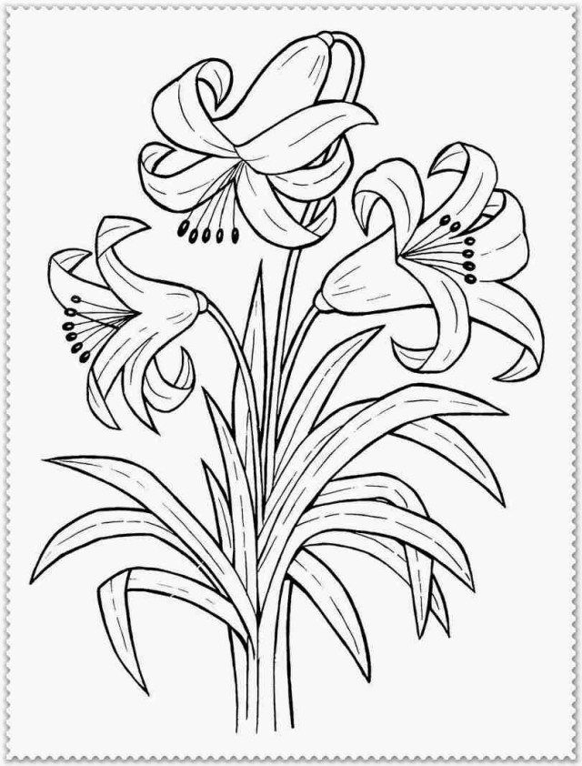 Creative photo of spring flowers coloring pages