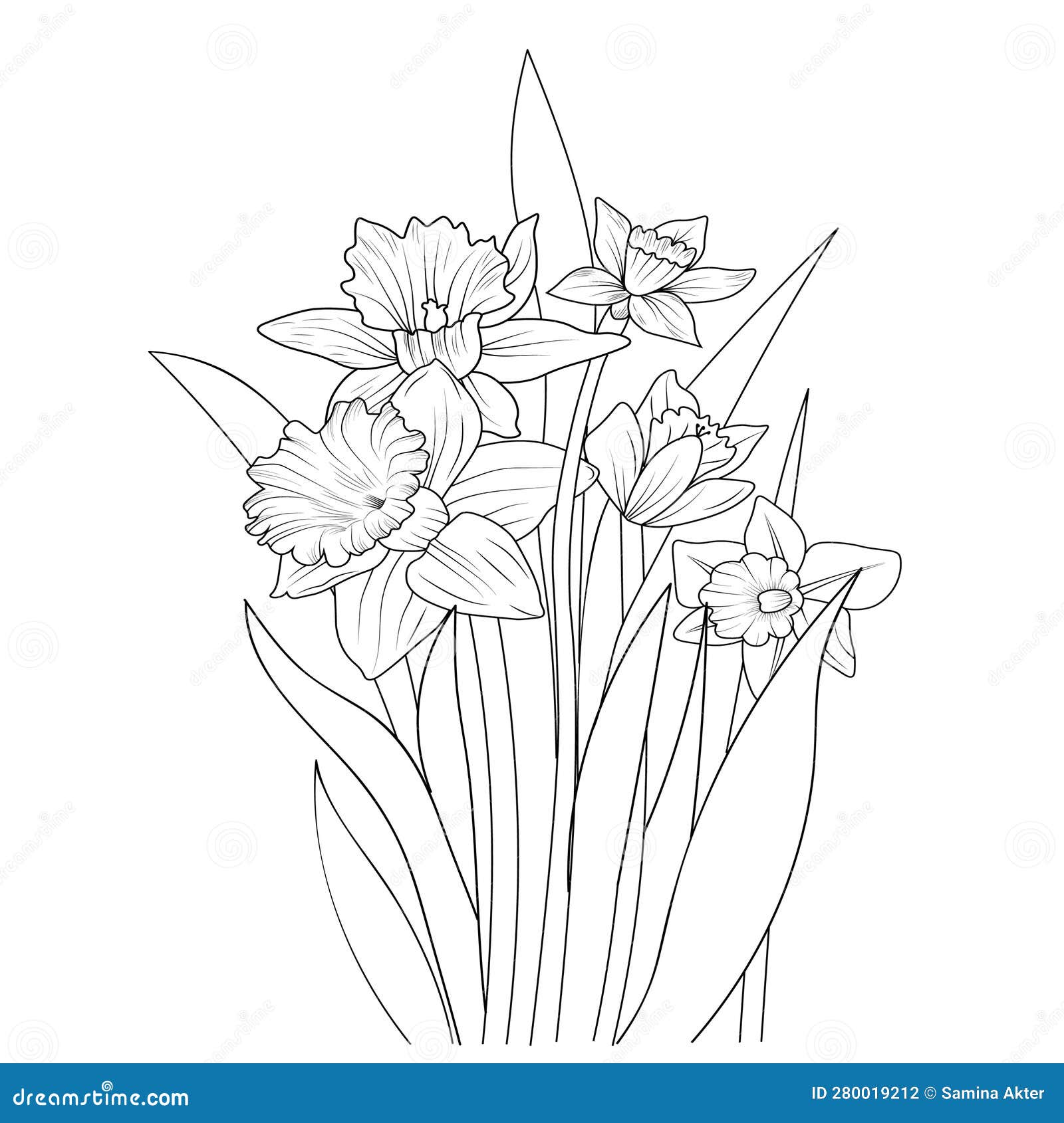 Realistic flower coloring pages pansy flower outlines daffodil flower drawing a branch of the botanical spring collection stock vector