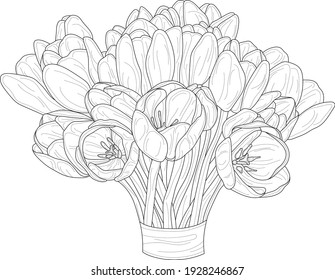 Realistic spring tulip flower bouquet sketch arkivvektor royaltyfri