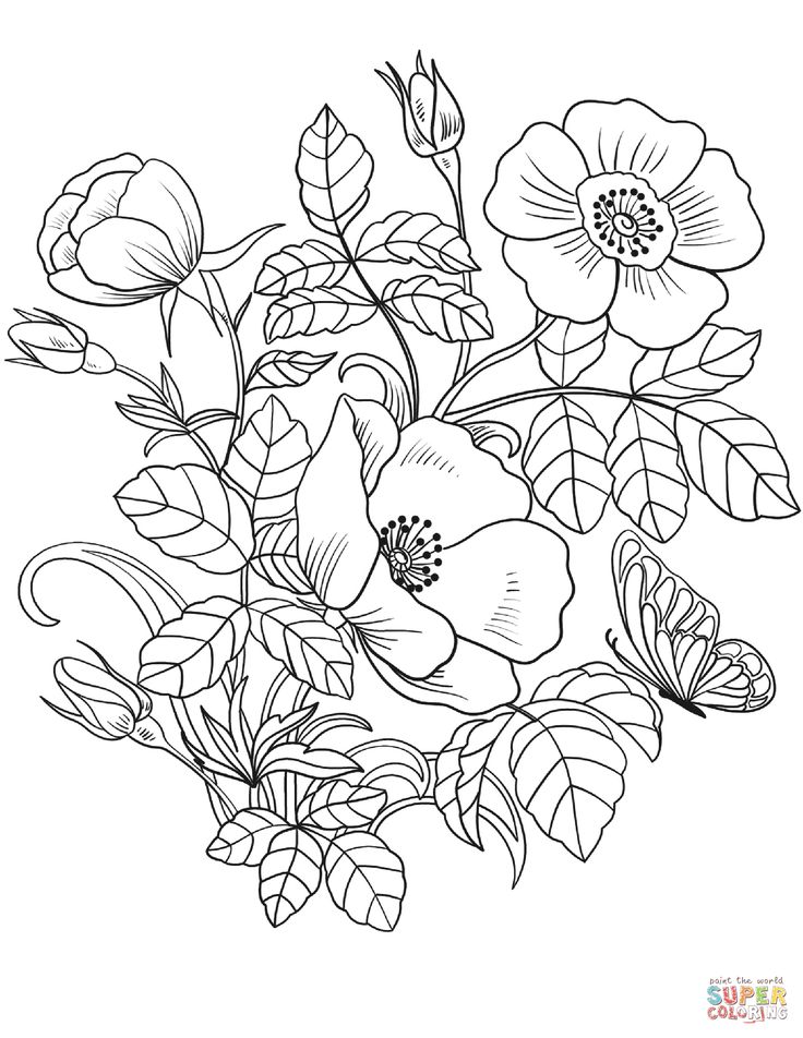 Spring coloring page spring flowers coloring page free printable coloring pages