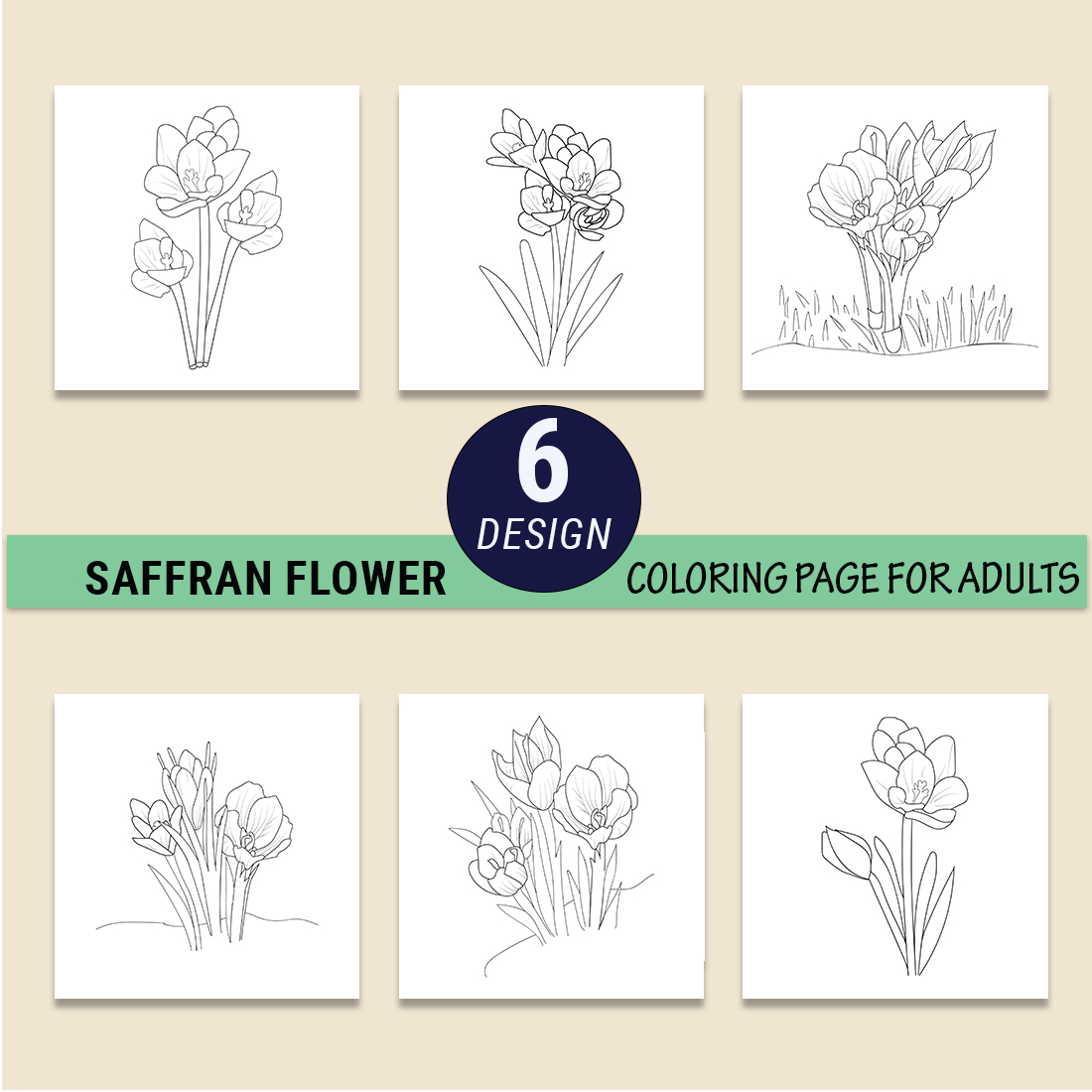 Saffron crosses flower outline crocus flower coloring pages crocus flower spring sketch crocus flower drawing
