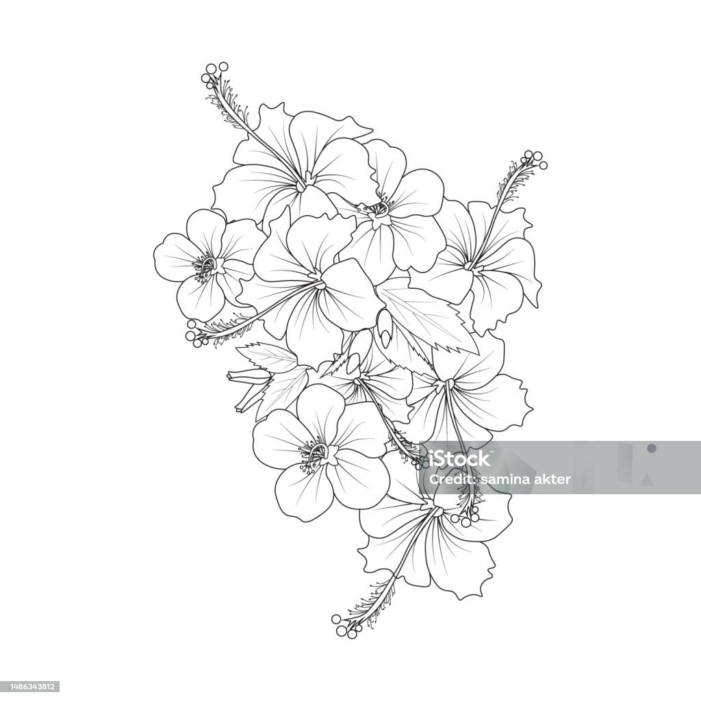 Hibiscus flower coloring pages realistic hibiscus flower coloring pages easy hibiscus flower coloring pages topical flower hibiscus coloring pages sharon flower bouquet china rose drawing stock illustration