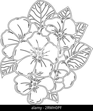 Primrose coloring book hand drawn botanical spring elements bouquet of primrose flower line art coloring page primula vector sketch stock vector image art