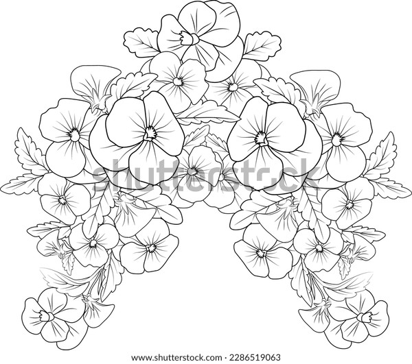Realistic flower coloring pages illustration pansy stock vector royalty free