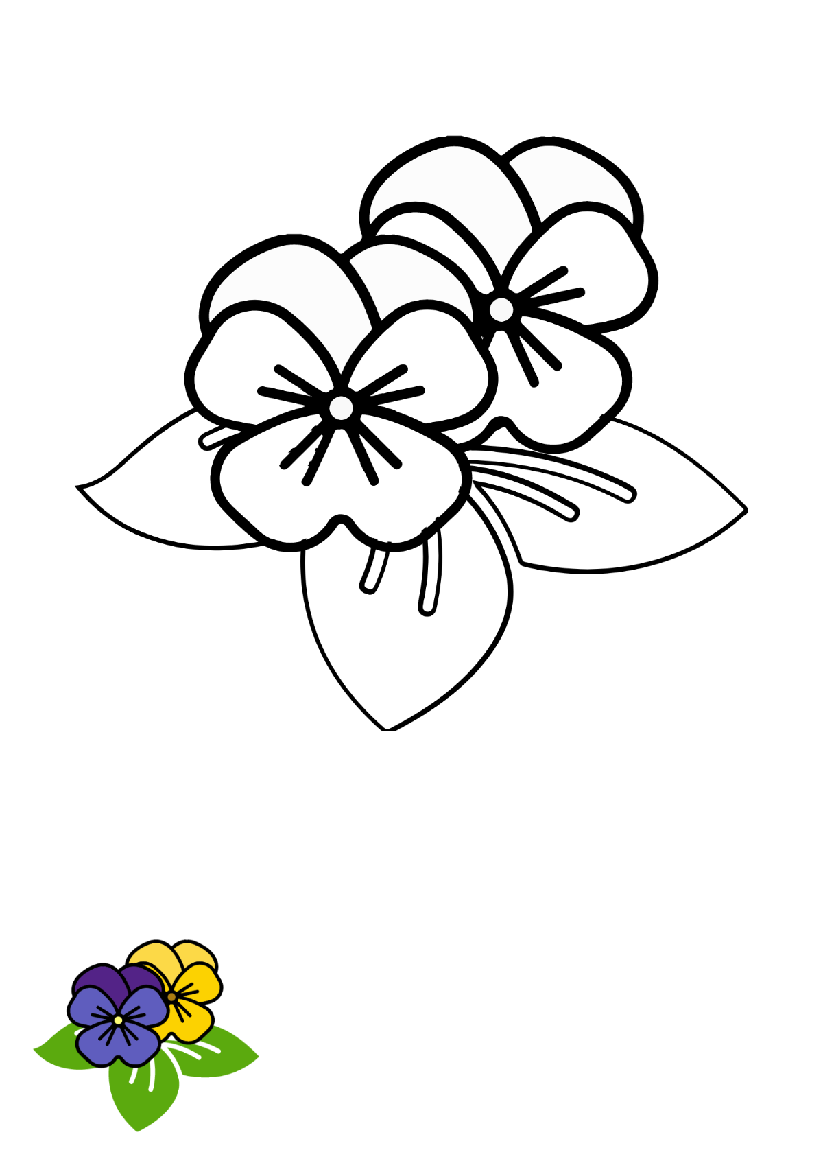 Free flower coloring page s examples