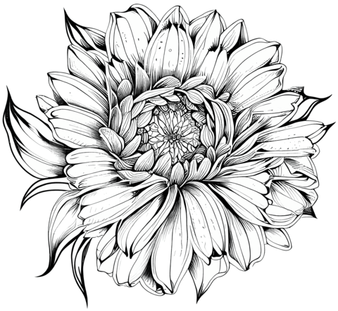 Spring flower coloring page free printable coloring pages