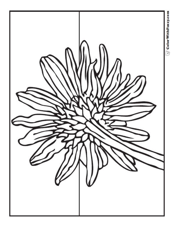 Sunflower coloring page pdf printables