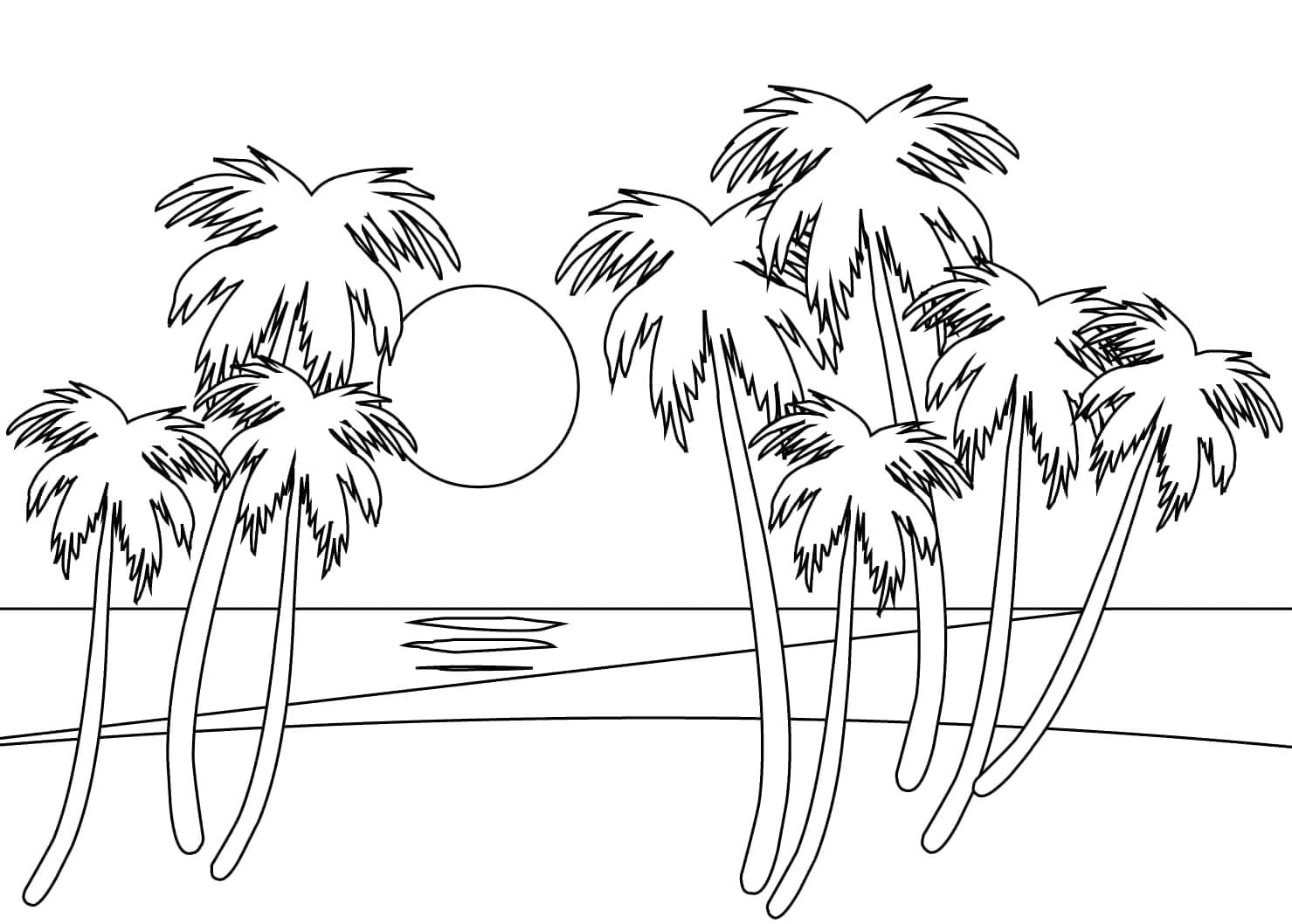 Sunset coloring pages pictures free printable