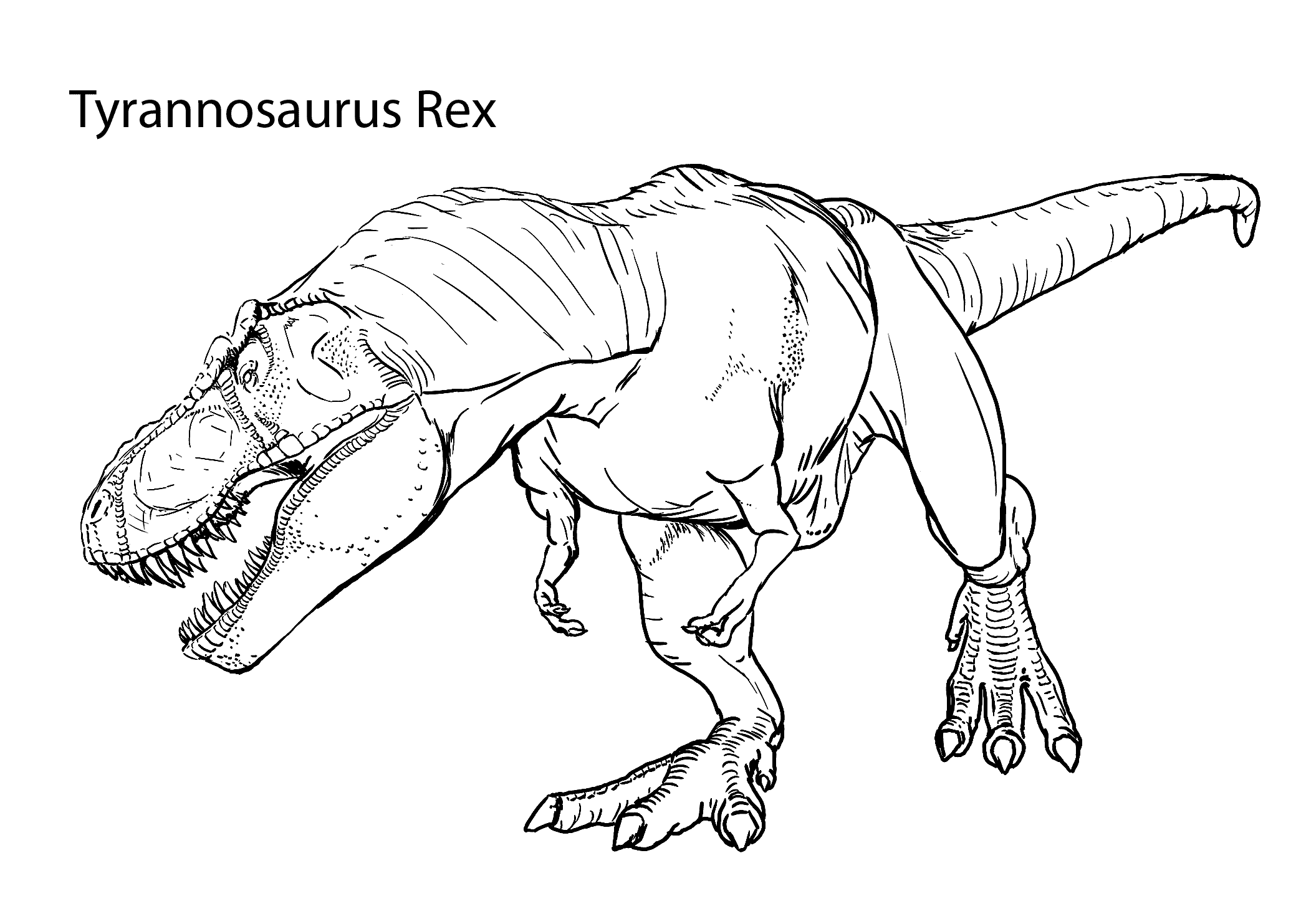Tyrannosaurus rex realistic coloring pages for kids printable free dinosaur coloring pages skull coloring pages animal coloring pages
