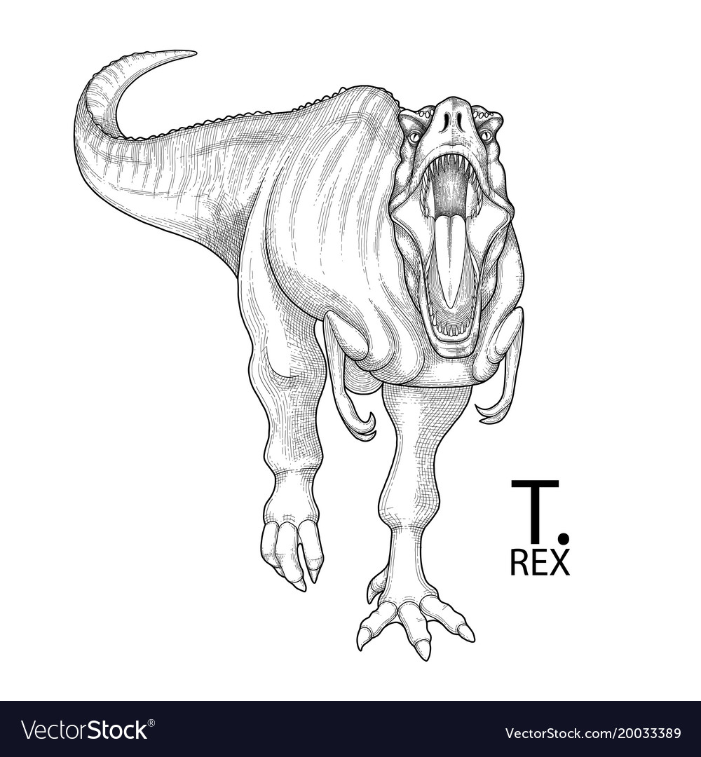Realistic graphic dinosaur royalty free vector image