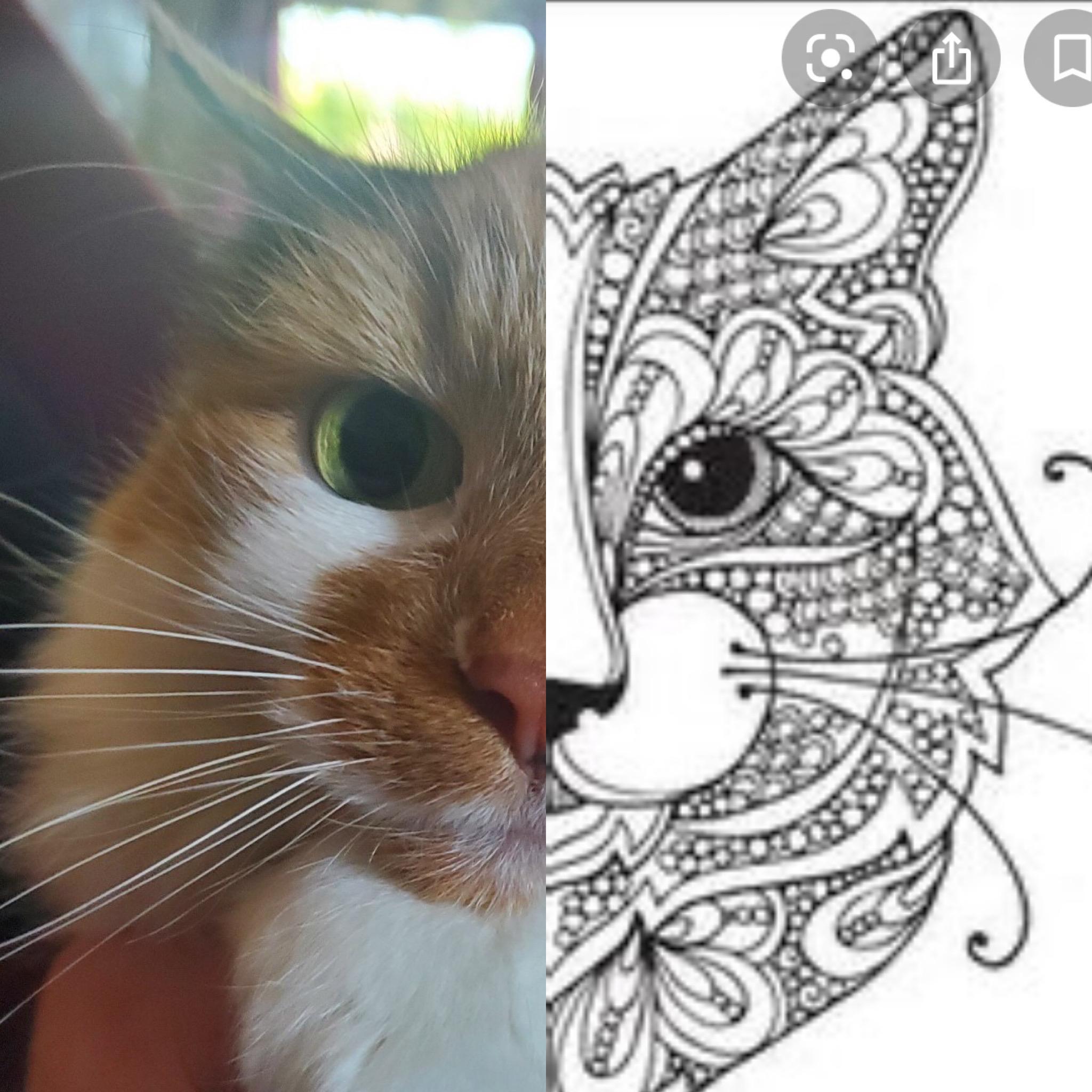 Looking for a tattoo artist who is good at realistic cat tattoos mandalas that can also do water color style coloring rmemphis