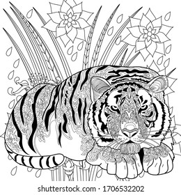 Tiger adult coloring images stock photos d objects vectors