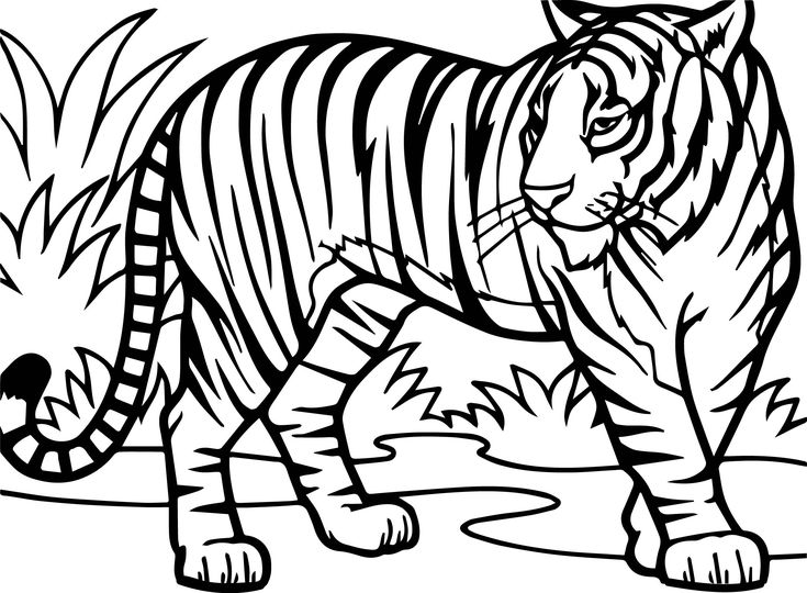 Tiger coloring pages pdf