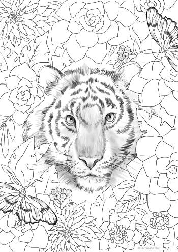 Gorgeous tiger â favoreads coloring club bird coloring pages adult coloring coloring pages