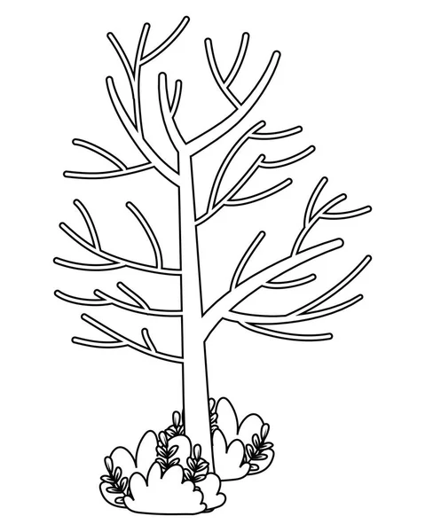 Tree coloring page vector images
