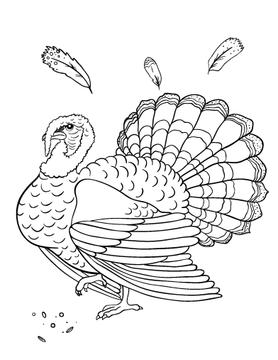 Free turkey coloring page