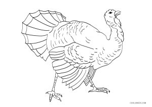 Free printable turkey coloring pages for kids