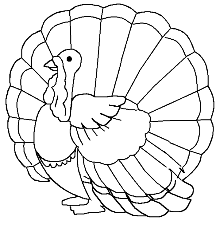 Free printable turkey coloring pages for kids