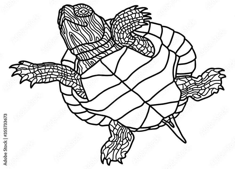 Vector illustration for coloring book realistic design pond slider or turtle marine inhabitants for childrens illustration pet turtle red