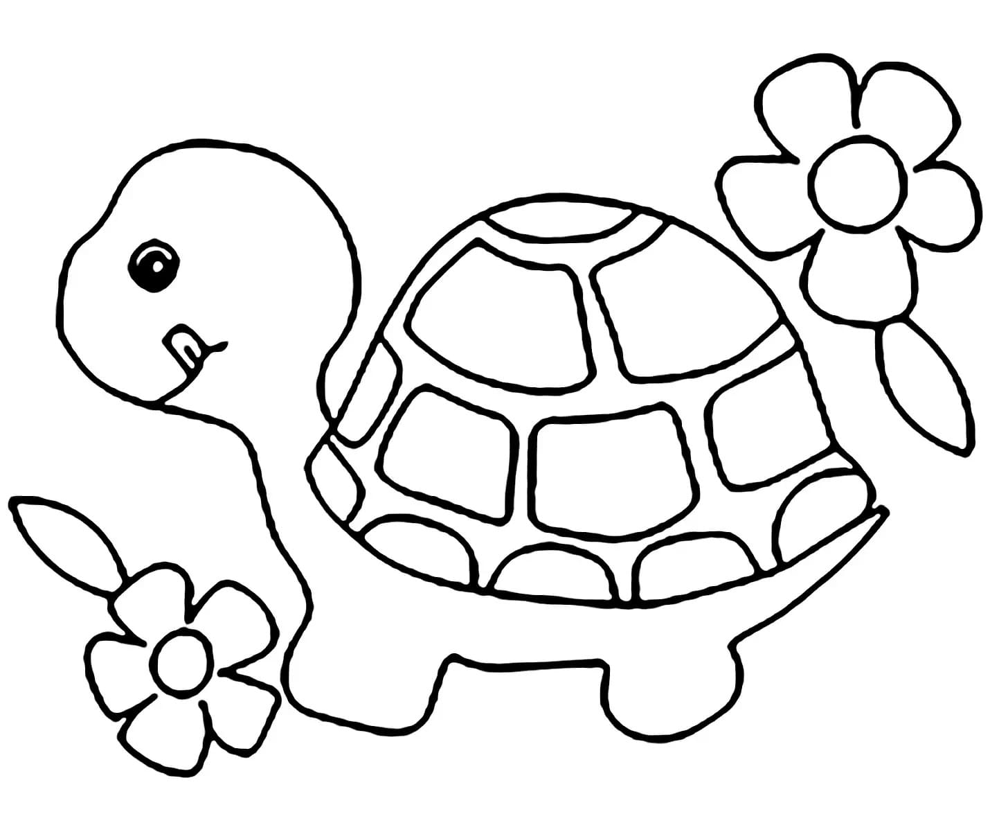 Realistic turtle coloring page