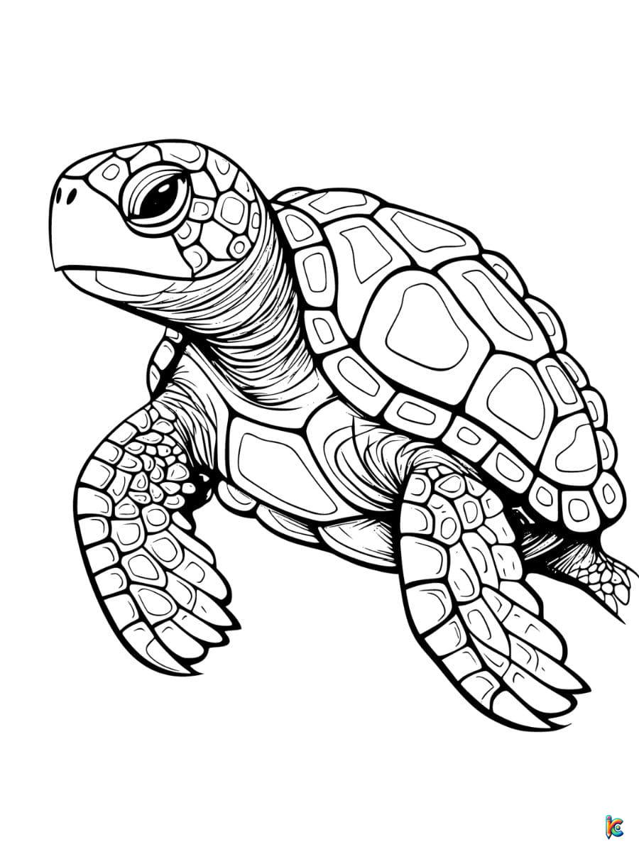Turtle coloring pages â