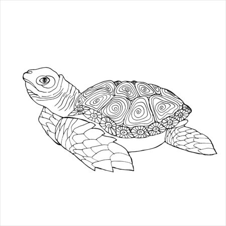 Sea turtle coloring book hand drawing coloring book for children and adults beautiful drawings with patterns and small details for anti