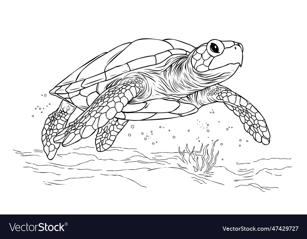 Coloring page turtlecoloring life royalty free vector image