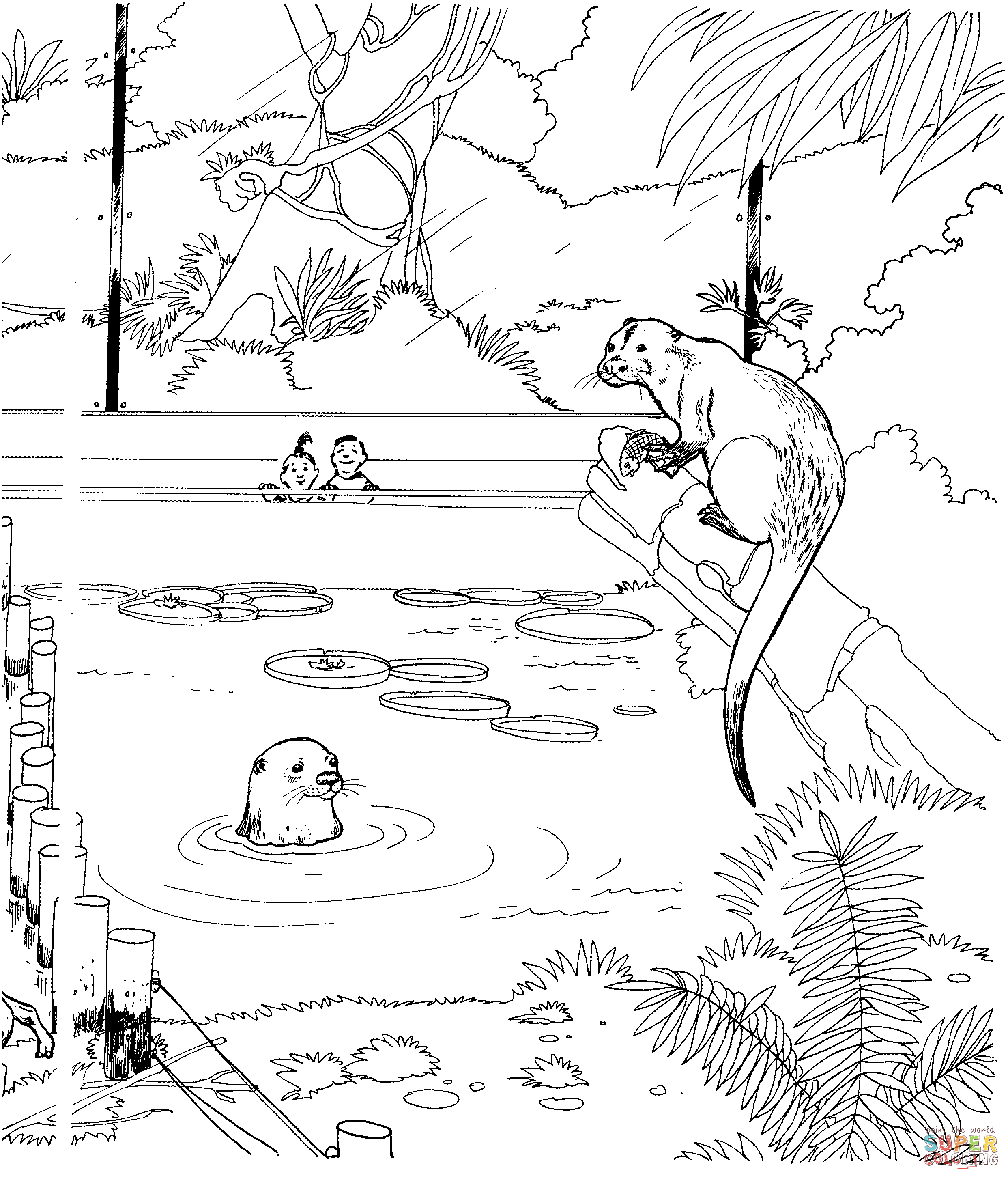 River otter in a zoo coloring page free printable coloring pages