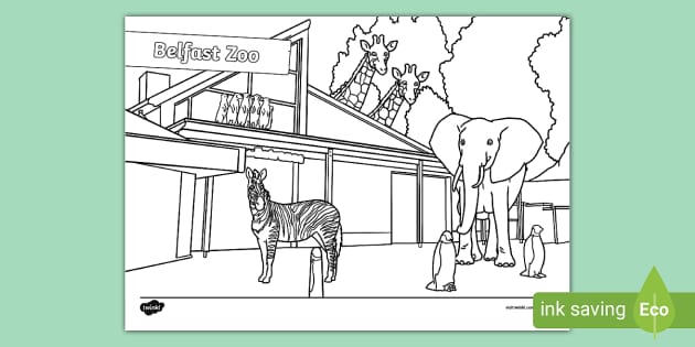 Belfast zoo louring sheet teacher made